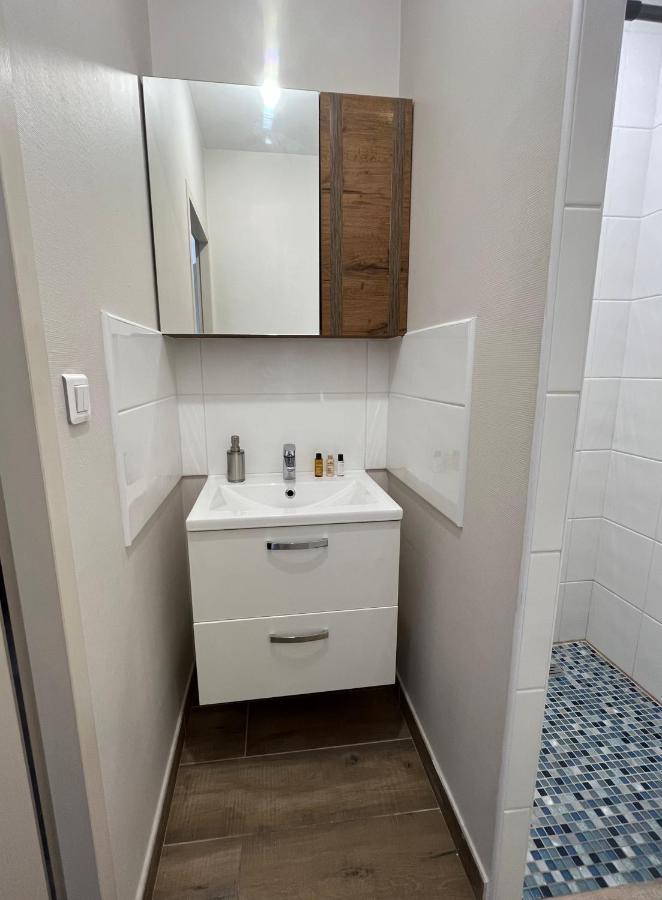 Appartement Renove A 15 Min De Lyon Saint-Fons Экстерьер фото